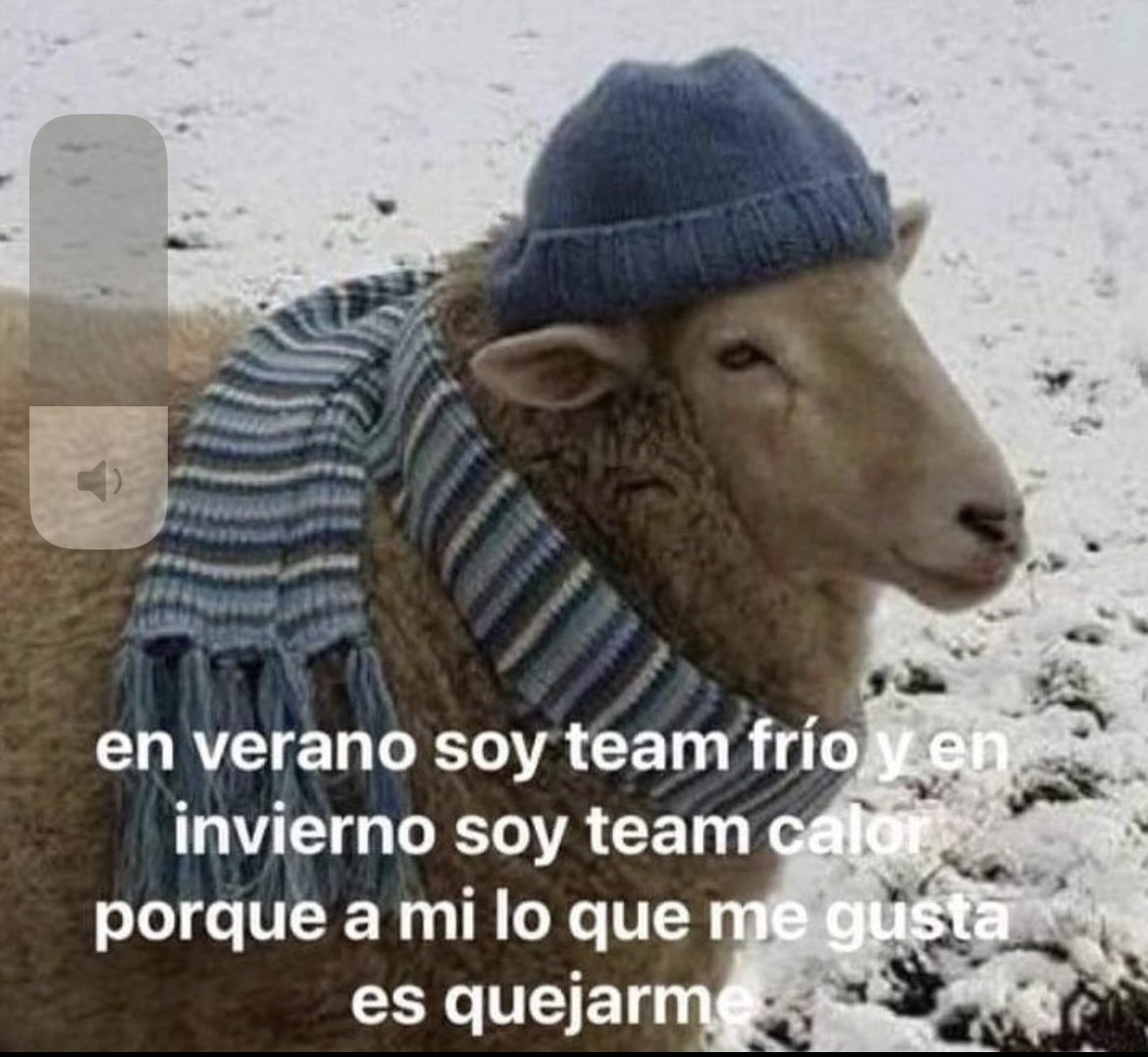 Y la queso