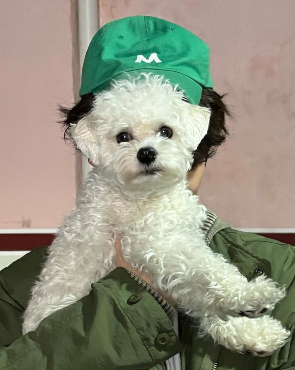 어머설자
어느날 머리에서 설이가 자랐다