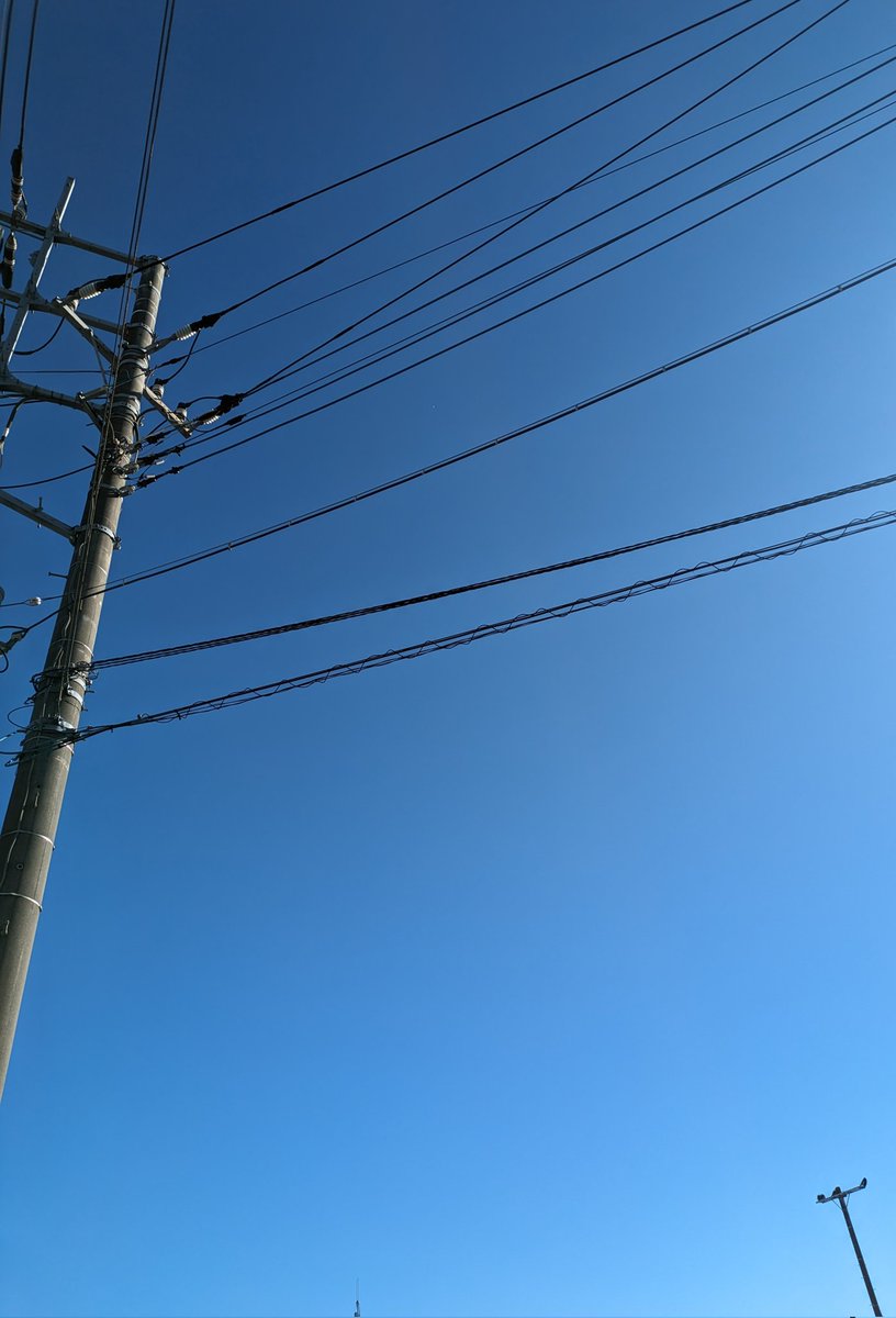 soundsgood2357's tweet photo. 空はいつでも青いんだ
#1006人の空 https://t.co/4BV4Ux6nzk