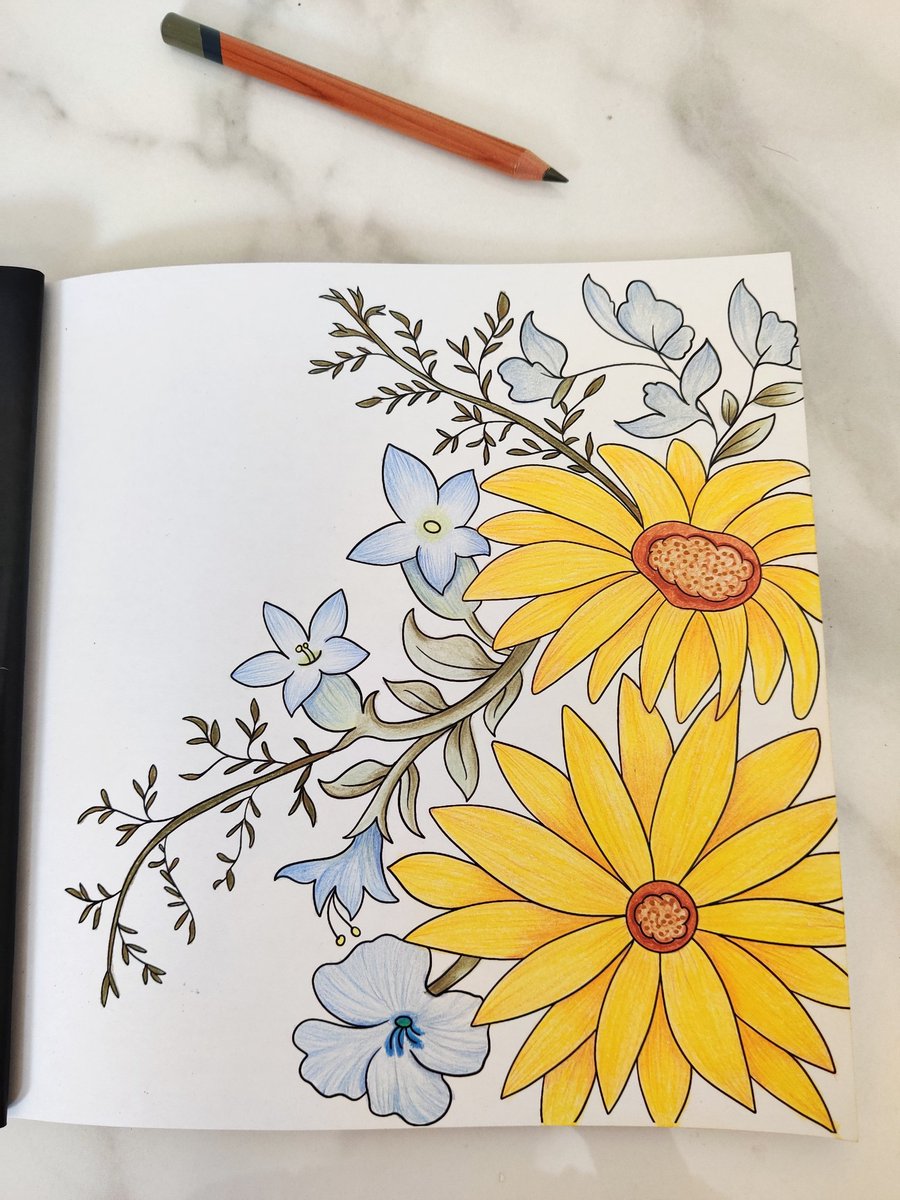 RaveenaBaskaran's tweet image. Filling my coloring pages! feels good 😊
#coloringbookaddict #coloringpage #coloringpageforadults #floralcoloringbook