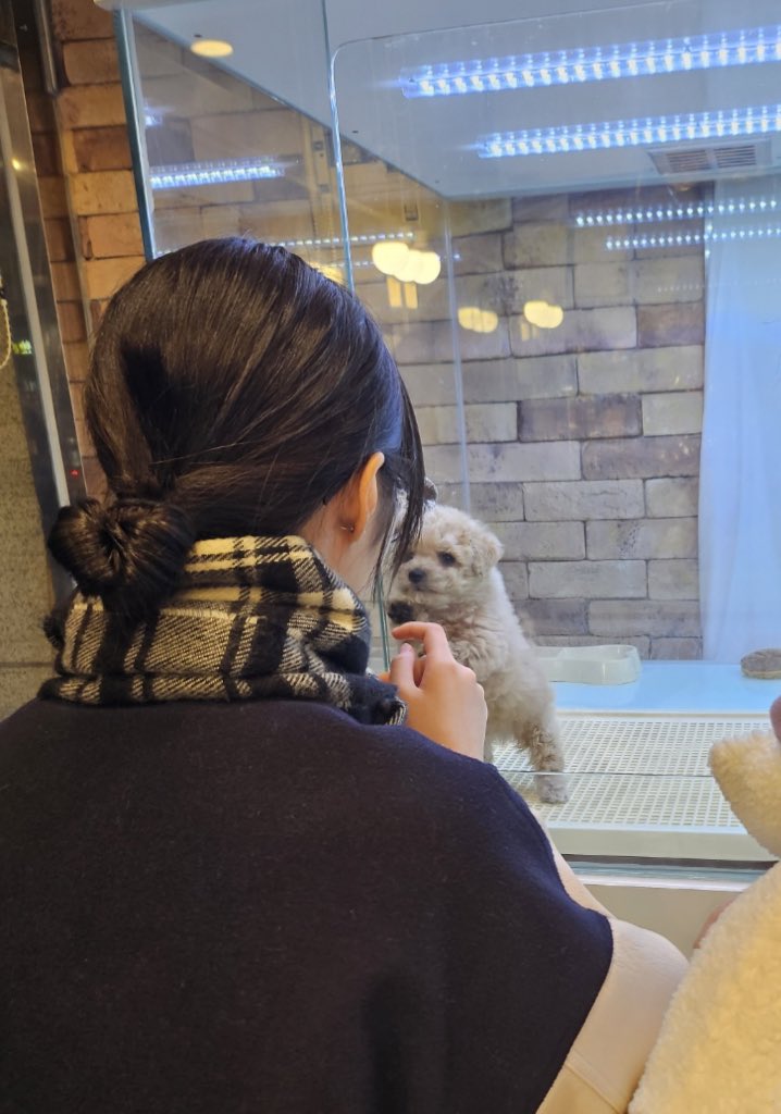ao8_77's tweet photo. 새식구 데려왔어용🐶 https://t.co/IhmhrYaUQL