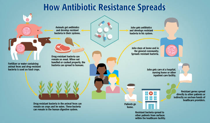 fatihu_asiyah's tweet photo. #WAAW2023 
#AMRTagTrain 
#PeventingAMRTogether
#AMRTagTrain @AMRCongress @ICARS_global

 LETS CURB AMR TOGETHER!!!
@aumarharuna @Dr_M_Abdullahi @unclenabilM @DrMaiflour @Sadiq_Bashir_ @Joe_Gatto @Abab_Jr @__untroubled__ https://t.co/wCxOvQRQF8
