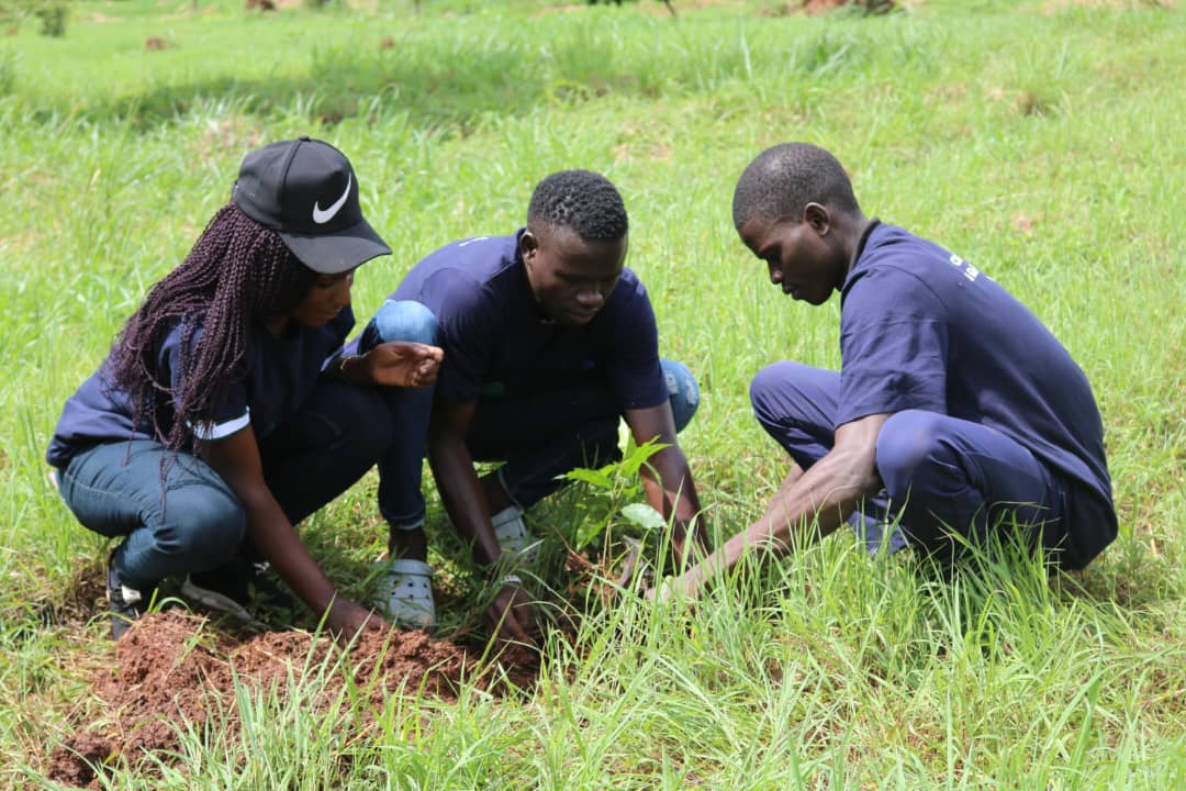 cceai_africa's tweet image. We thank @tree_adoptionug and @KUEMA23 for partnership of our project #UrbanTreePlanting ,this noble cause for today and future generations
#ClimateEmergency #ClimateActionNow #OurNatureOurFuture