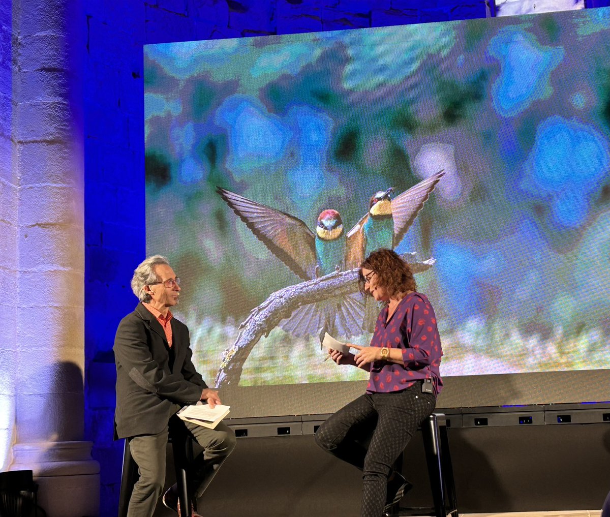 Elisabet Zapater tweet media