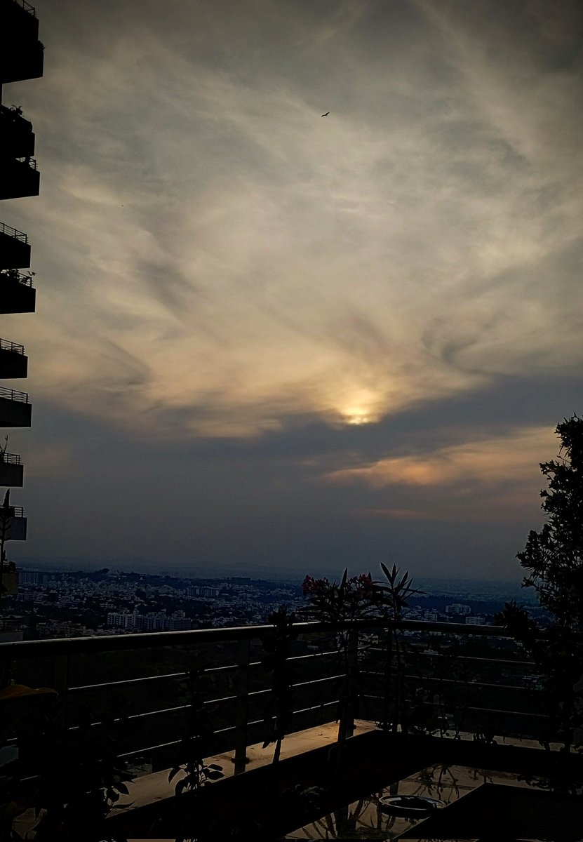 ushrit2020's tweet image. #7Down