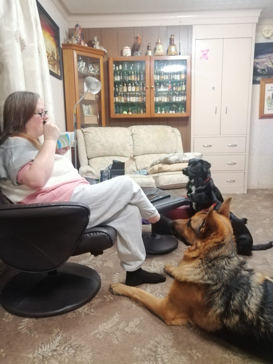 EmmaSpagnola's tweet photo. I think I am being watched #Dogs #Food #NotSharing #MyFood #Everyoneisacritic #Canine #MansBestFriend #sundayvibes https://t.co/XaC6giMGZd