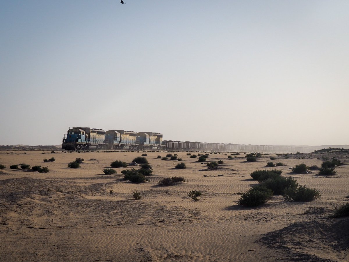 Bob de Vries tweet media