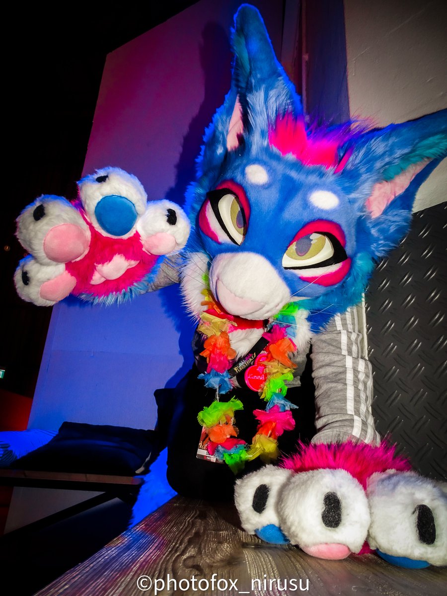 Nirusu_Fox's tweet photo. Happy #suitcrushsunday 

This time with @Sorsaky  and her suit that doesnt have a name yet. But maybe you can give her some suggestions. Wish you a good sunday. 

Fursuiter is @Sorsaky  
Photo is made and edit by me https://t.co/Qolxne0G9Z