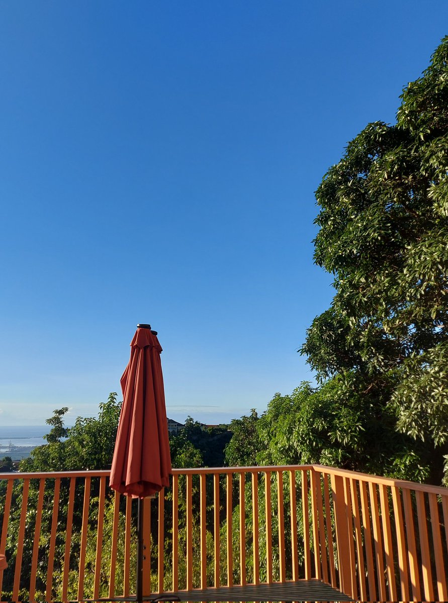 gemgord's tweet photo. Best remedy for my soul before the gruelling weeks ahead #Blueskies #PonDiHill #HomeJoy #BlessedAndGrateful Happy Sunday JA. #MorningCoffee https://t.co/pZRQvJ1Rjd