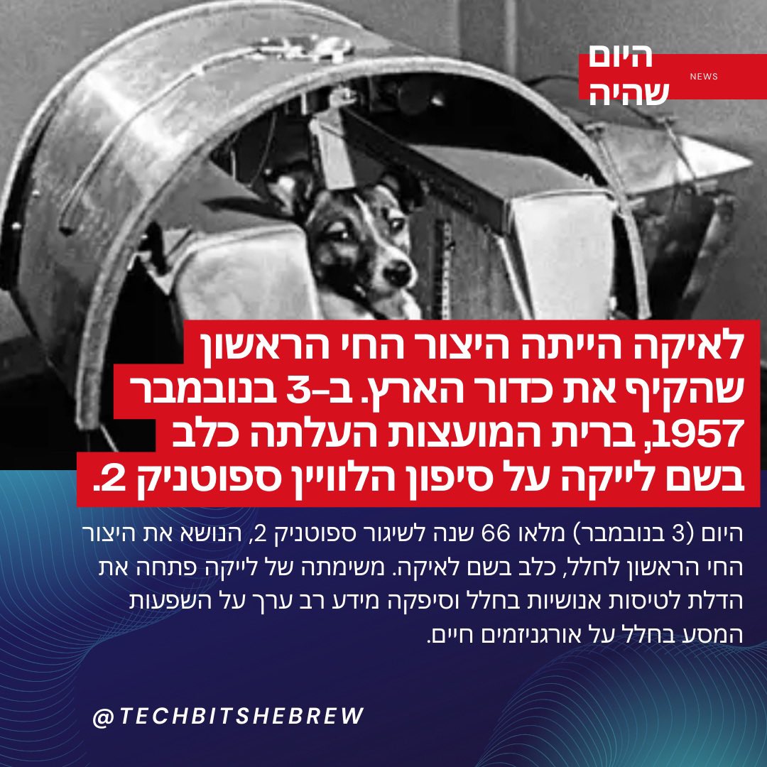 נגיסות טק (Tech.Bits) tweet media