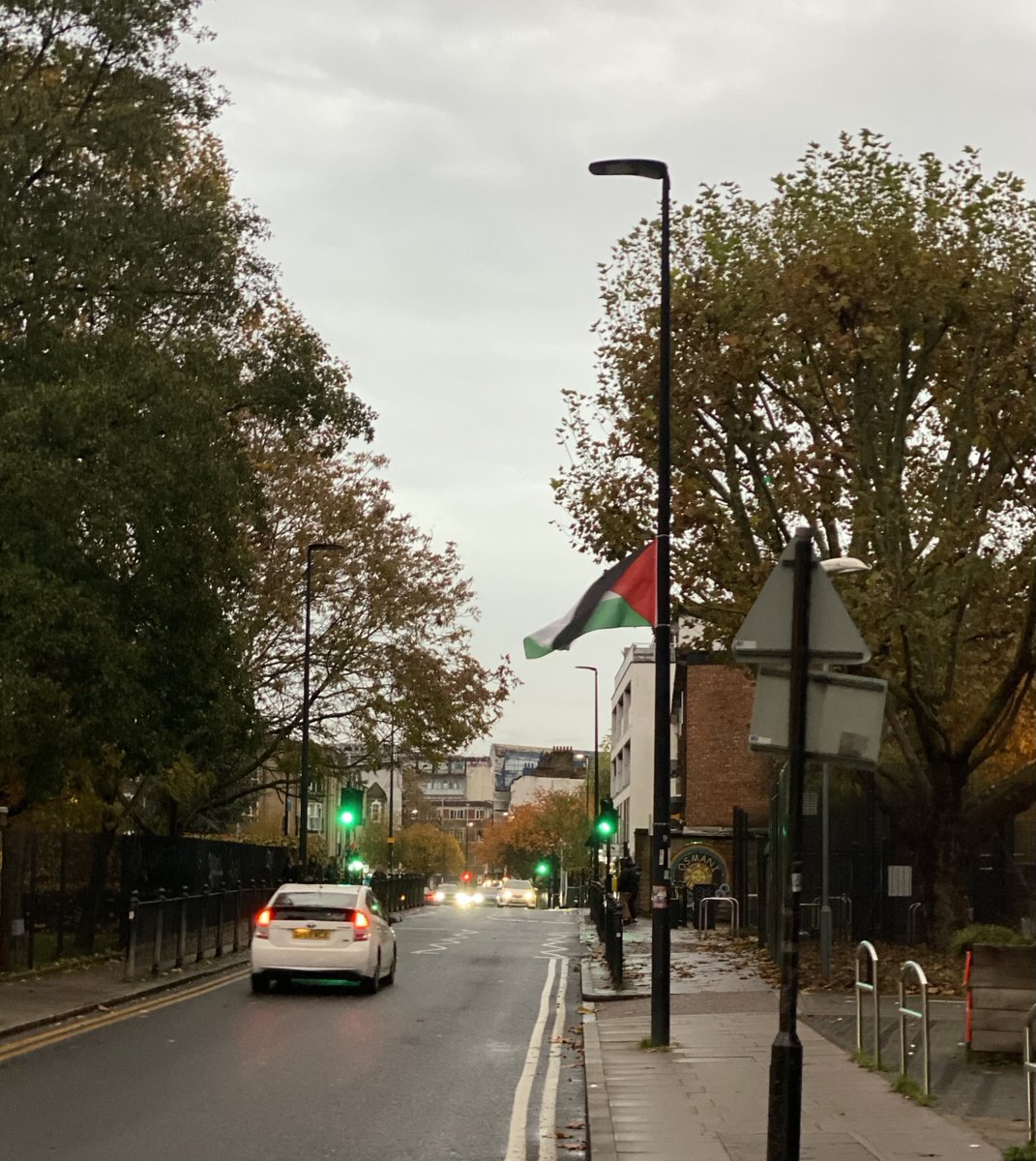 Palestinian flags are widely displayed in Tower Hamlets, London. Majority of Palestinians support October 7th terrorist attack. Thus, the display of these flags in Tower Hamlets, especially on city property, does not seem to be a mere show of support for innocent civilians, but