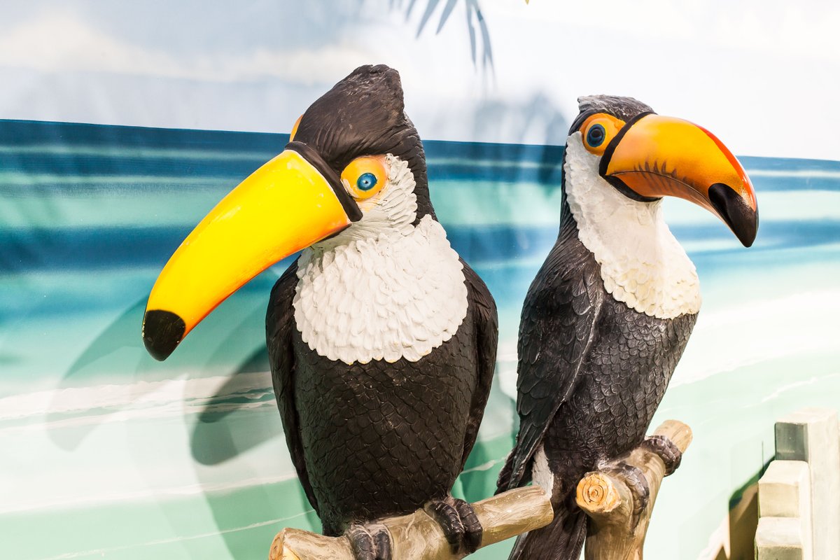 PiagCOaks's tweet photo. Two little birdies told us you can play 2 courses for £12 on Super Sundays at Paradise Island Adventure Golf Cheshire Oaks 👀⛳️ https://t.co/tUoa6lCqBn
