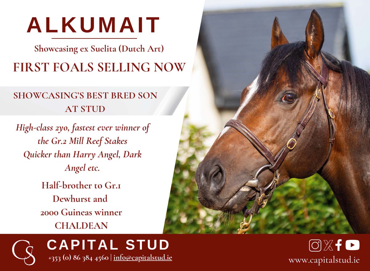 EBN (@bloodstocknews) on Twitter photo 🌟 Don't miss the first foals by <a href="/Capital_Stud/">Capital Stud</a>'s ALKUMAIT selling NOW 🌟
✅ High-class 2YO
✅ Fastest ever winner of the Gr.2 Mill Reef Stakes
✅ Half-brother to Gr.1 Dewhurst and 2000 Guineas winner CHALDEAN
To contact the stud ⬇️ see below ⬇️ #ReadAllAboutIt 🌟 Don't miss the first foals by <a href="/Capital_Stud/">Capital Stud</a>'s ALKUMAIT selling NOW 🌟
✅ High-class 2YO
✅ Fastest ever winner of the Gr.2 Mill Reef Stakes
✅ Half-brother to Gr.1 Dewhurst and 2000 Guineas winner CHALDEAN
To contact the stud ⬇️ see below ⬇️ #ReadAllAboutIt