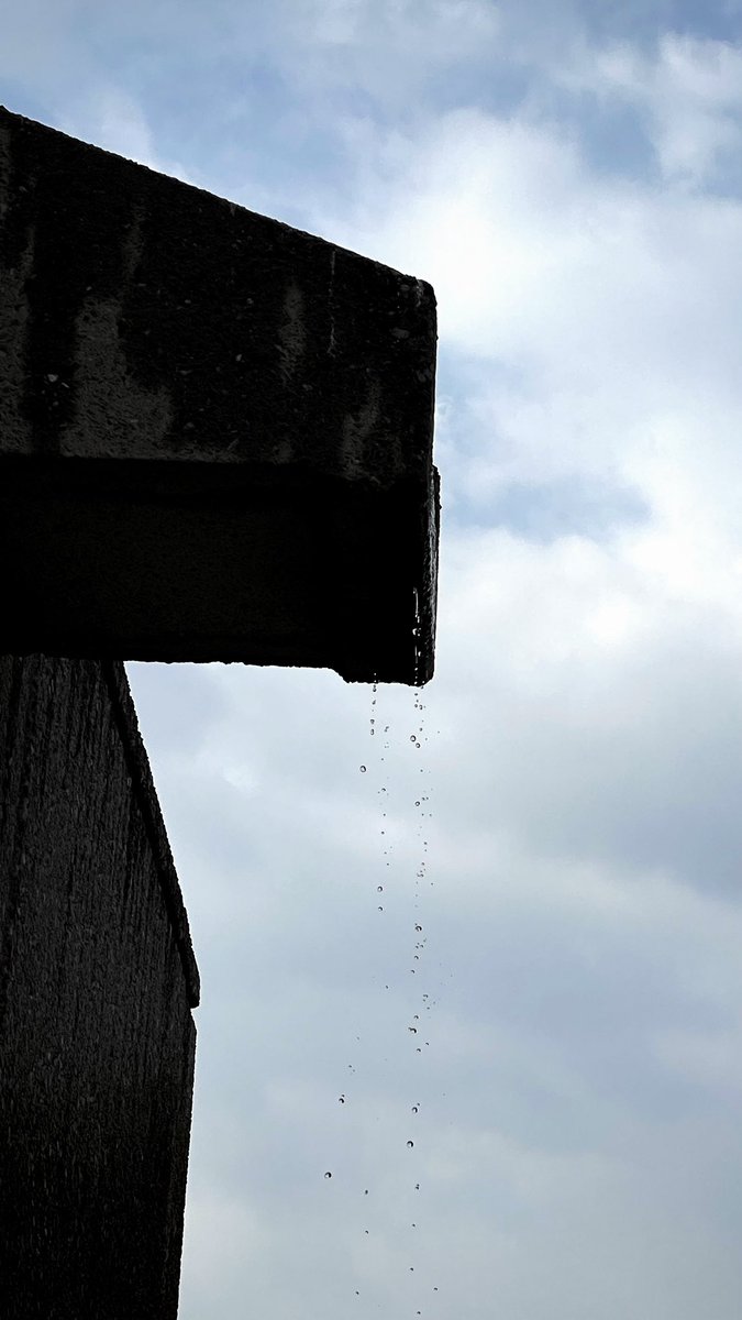 SAT 📸• tweet media