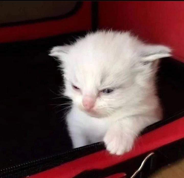 When you wake up on a Monday morning!!#sundayvibes #StrictlyComeDancing