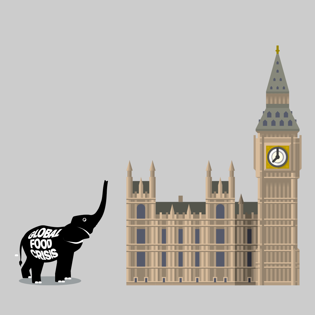 paulnewnham's tweet photo. Tomorrow, the UK govt hosts a Global Food Security Summit. This is a key opportunity to step up the fight against malnutrition and hunger to achieve #GoodFood4All. Time to step up & save lives.
More👉 https://t.co/RBkOfpvT91 @FCDOGovUK @AndrewmitchMP #StepUpSaveLives @RishiSunak https://t.co/AQ2iUNTmyY
