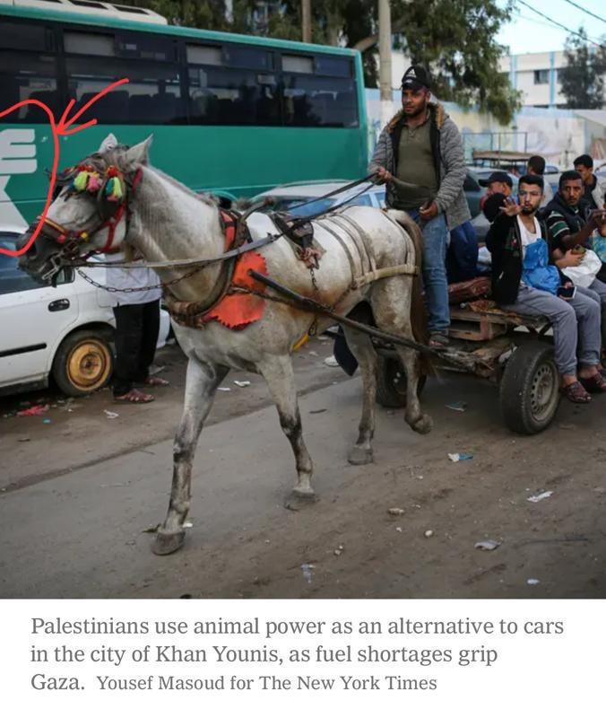 New York Times published this photo saying it is from Gaza. Small problem: the bus is an Israeli bus company. The photo is from Israel.

<a href="/nytimes/">The New York Times</a> is officially a parody account 🤣