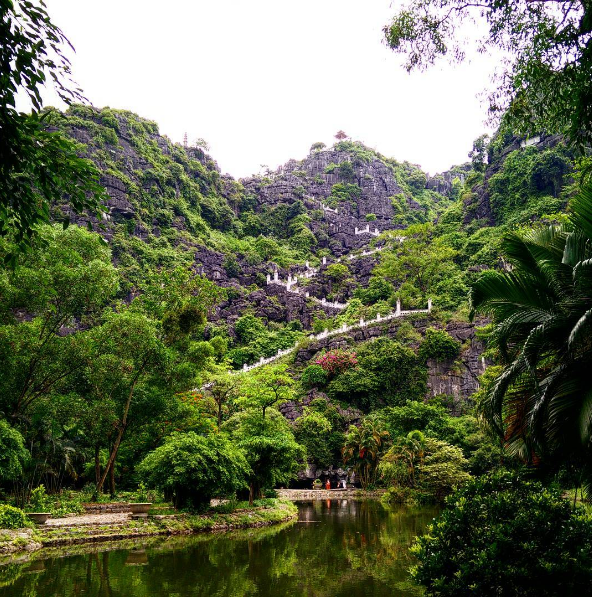 vanyigal's tweet photo. Danh lam thắng cảm Ninh Bình - thu hút khách du lịch

HANG MÚA
- Địa điểm du lịch Ninh Bình luôn được nhắc đến chính là Hang Múa, được mệnh danh là Vạn Lý Trường Thành của Việt Nam. Vậy nên, bạn có thể sẽ mất khá nhiều sức lực khi vượt qua 468 bậc thang để chinh phục đỉnh. Nhưng bạn sẽ không phải thất vọng khi lên đến nơi.

- Đứng trên đỉnh, bạn có thể thu vào tầm mắt toàn bộ vẻ đẹp bao quát tuyệt mỹ của vùng đất Ninh Bình. Đặc biệt, đường vào Tam Cốc Bích Động mênh mông là lúa cùng với núi non trùng điệp cũng tạo thành khung cảnh vô cùng nên thơ.