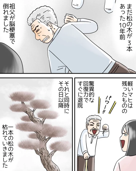 身代わりの松の木の話 2/4 