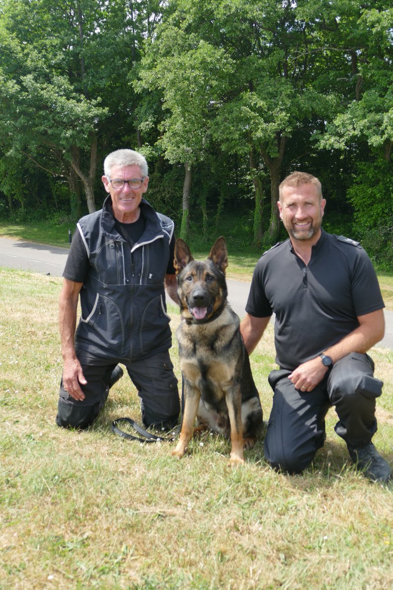 DC_Police Dogs ( Puppy Development Program) tweet media