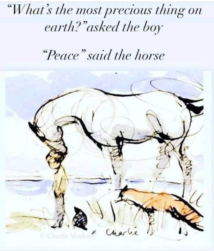 🙏