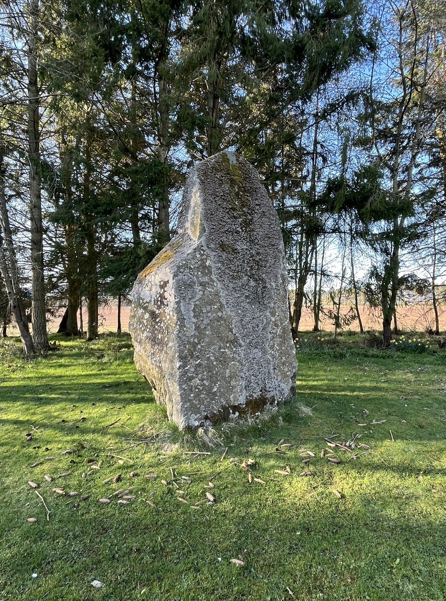 Majestic in #Meigle #StandingStonesSunday