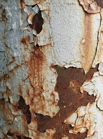 Teamgrassroots_'s tweet image. Only grassroots people will know what this is. Don’t give it away just hit like when you’ve worked out what it is.

#TeamGrassroots #grassrootsfootball #whatisit