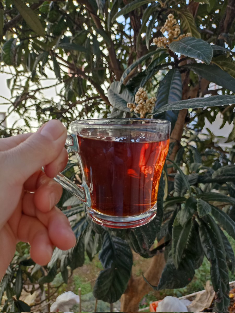 Hosirik29_61's tweet photo. Sahip olduklarını
#HAK Et,
Karşılıksız #SEV,
Beklentileri #AZALT ,
Cömertliği #ARTTIR,
#ŞÜKRET,
Her Şeye Rağmen #GÜLÜMSE!..:)
Esselamünaleyküm 🤚
Hayırlı huzurlu pazarlar dilerim ☕🌸 https://t.co/9AEpzkp6Vo