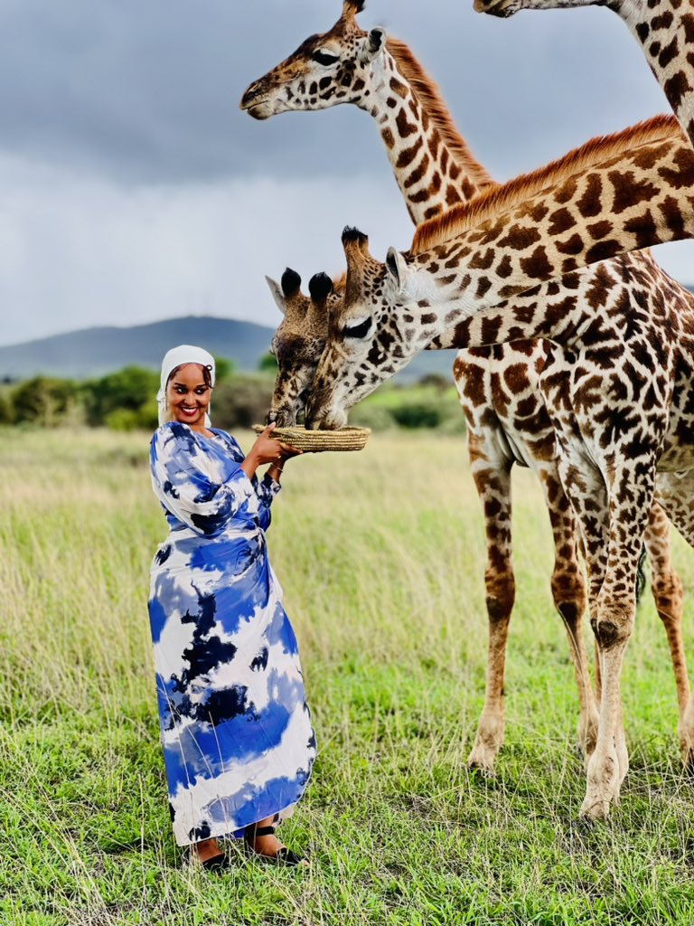 servalwildlife's tweet photo. Did you know 

Giraffes are social animals and often form loose groups, known as towers, with members ranging from a few individuals to over a dozen. These towers may include both males and females. https://t.co/2oz5vTmKlz