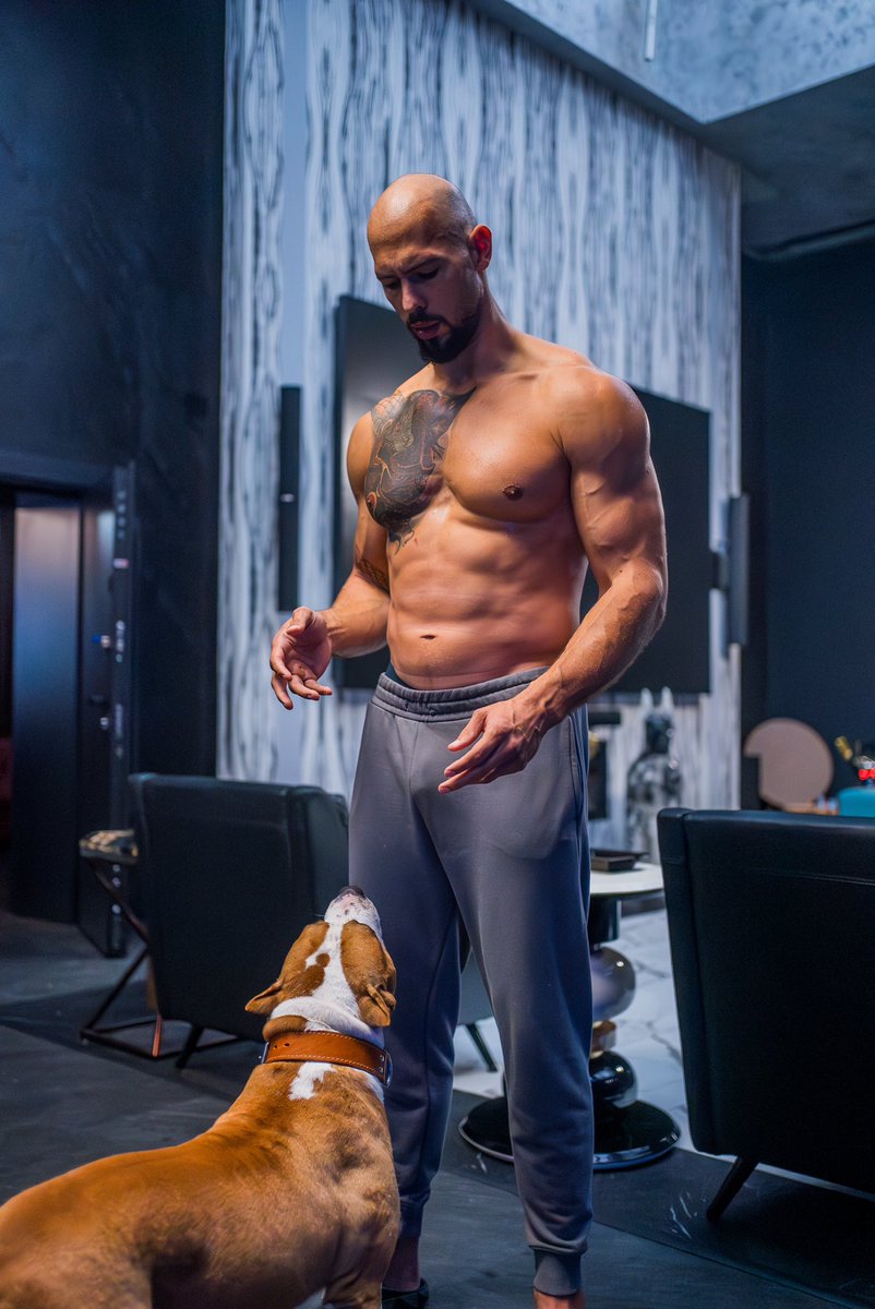 Cobratate's tweet image. GM.