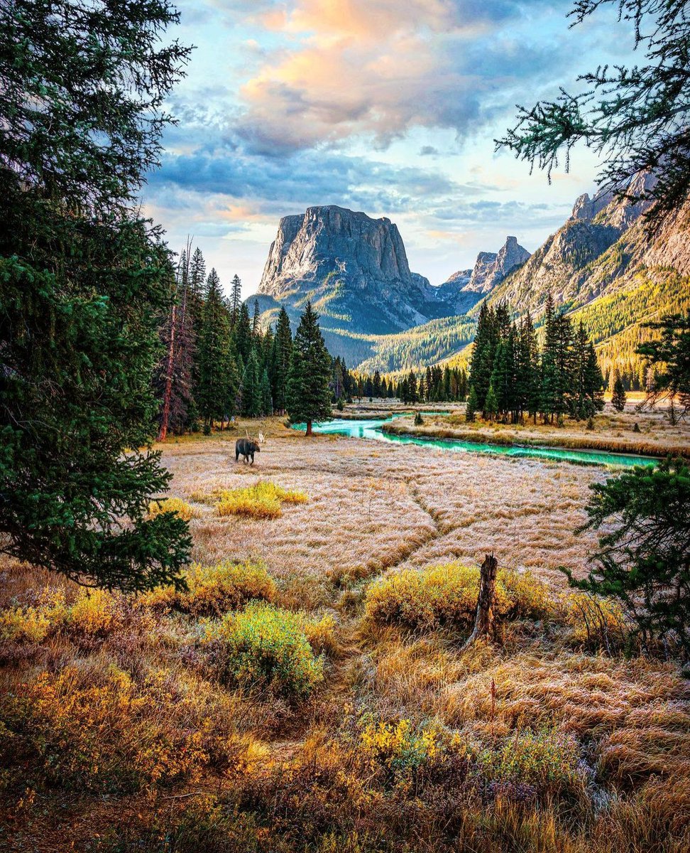 Beautif12959501's tweet photo. Wind River Range, Wyoming, United States
📸: Serge Pikhotskiy
#UnitedStates🇺🇸 #Wyoming #windriverrange #bridgerwilderness #mountains #lake #fall #fallcolors #traveling #landscape #Autumn #California #landscapephotography #travelphotography https://t.co/yKiC5GFJS3