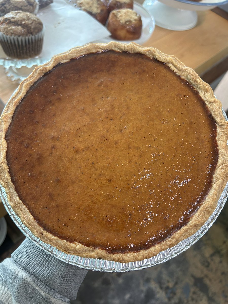 Tracy Obolsky tweet media