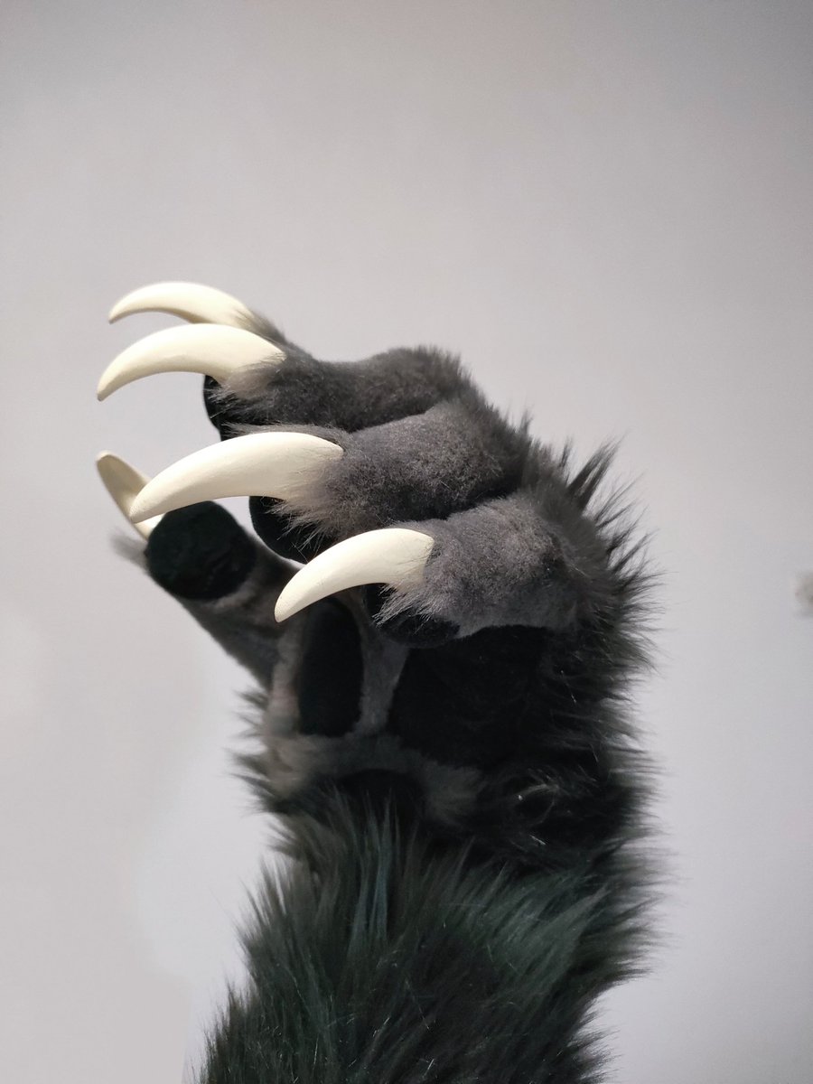 I was thinking about the paw commission, and it seems like a lot of people like them. The price will probably be $250, and I'm worried that the price will not be suitable👉🏻👈🏻
Let me know if you have any suggestions
在考虑关于爪子委托的事情，好像很多人喜欢它们。价格可能在250美元