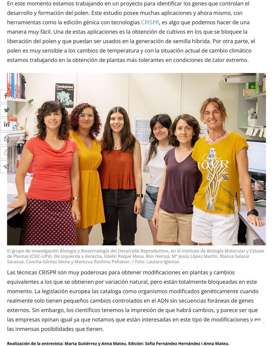 IBMCP's tweet photo. En @metode_esp, Concha Gómez Mena @cgm_cgomezm, del @IBMCP, nos muestra la tarea investigadora en el desarrollo reproductivo del tomate 🍅
Están aplicando edición genética #CRISPR, para mejorar la producción, atendiendo a las situaciones de calor y sequía 
https://t.co/WGr3WWYFLM https://t.co/9wuVAjnNex