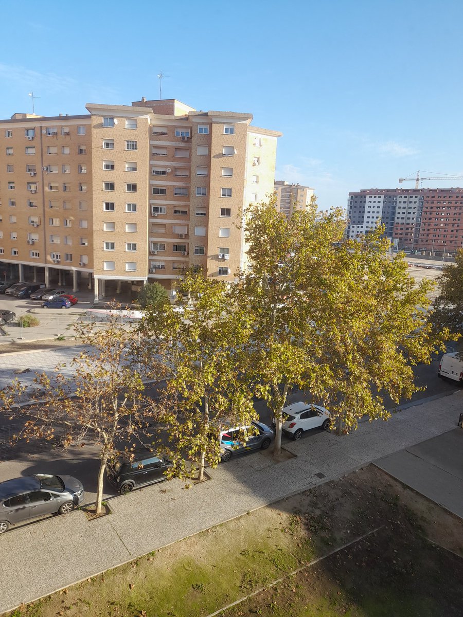 Ya ha pasado un año y unos meses desde que empezaron unas obras en el antiguo territorio de Zahbror. Actualmente va así.
Una lástima, hace ya un año de la pérdida de nuestro territorio original.