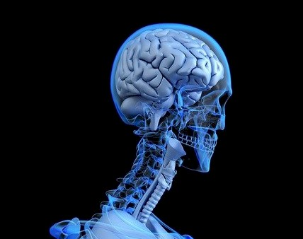 BiogenBR's tweet photo. CIENTISTAS DIZEM QUE NOS REPRODUZIMOS COM UMA ESPÉCIE HUMANA EXTINTA E ISSO DEIXOU UMA MUDANÇA SOMBRIA EM NOSSOS CÉREBROS
https://t.co/nYNEI1xr7w
Credibilidade: 989
#Ancestrais

Os genes herdados podem ter deixado um impacto significativo na saúde mental.

https://t.co/NjNG22xbAO https://t.co/RDWNwKmirJ