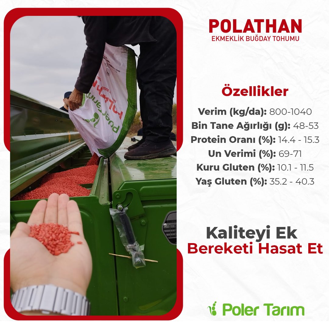 PolerTarim's tweet photo. POLATHAN EKMEKLİK BUĞDAY TOHUMU 🌾

TOHUMUN GENEL ÖZELLİKLERİ
Verim (kg/da) 750-1060kg
Protein Oranı 14,4-15,3
Bin Tane Ağırlığı 48-53 gr
Kuru Gluten(%) 10,1-11,5
Yaş Gluten(%) 35,3-41,3

#polathan #agriculture #tarım #Ziraat # https://t.co/Ss4UxxHsT2