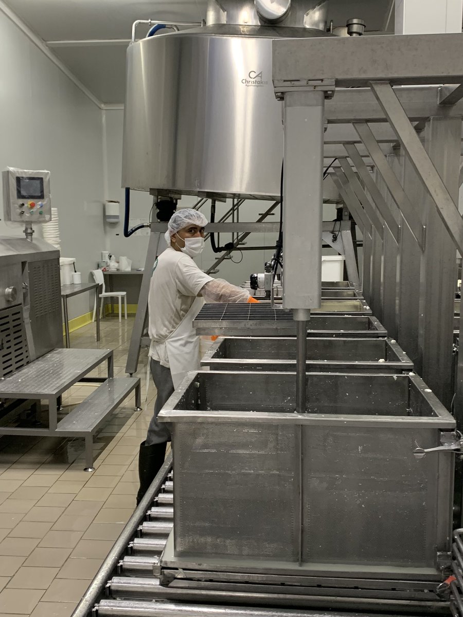 EU_MarioNava's tweet image. Great pleasure to visit Gülgün Dairy Products and taste authentic #Halloumi/#Hellim. 
👉 Our discussions reinforced our commitment to support the Turkish Cypriot community to access the EU market for #Halloumi/#Hellim, in full compliance with #EU standards.