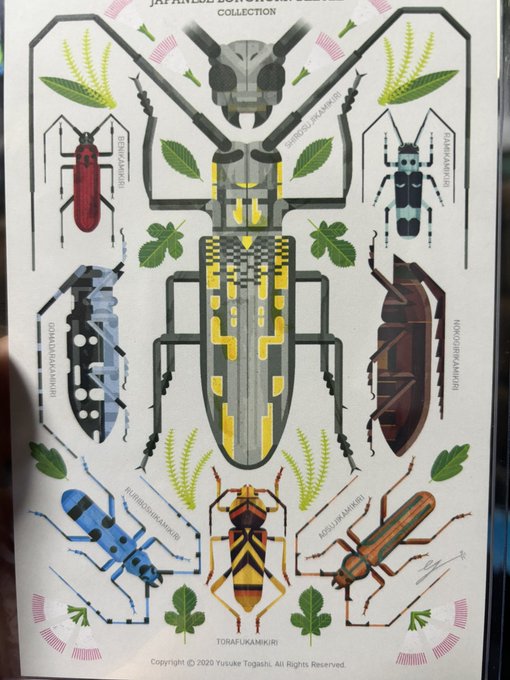 博物クリスマスという即売会行ってきました。
購入物は日本のカミキリポストカードとコアオマイマイ缶バッチ。 