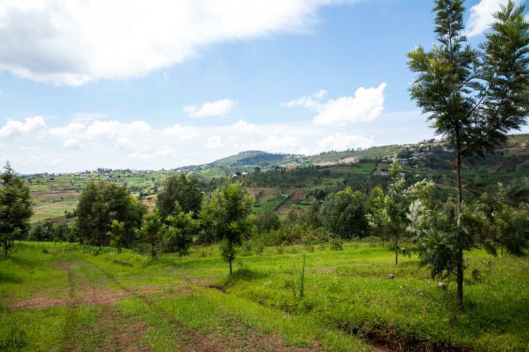 Arobaazee's tweet photo. Muri @tesdealer dufite IBIBANZA 5 BIGURISHWA KAMONYI/GIHINGA 
IN STOCK

Location: Kamonyi/Gihinga
Price:  3 Million and 6 Million
Contact: 0788500545

Njyiye gusenga ndagusabira nawe wisabire Nyagasani aguhe ubushobozi ugure ibi bibanza batabigutwara♥️🙏 https://t.co/MbZRudax8u