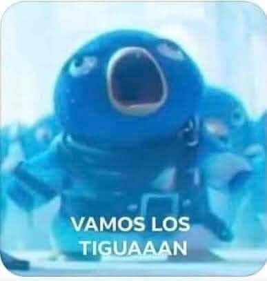 Vamo lo tiguan
