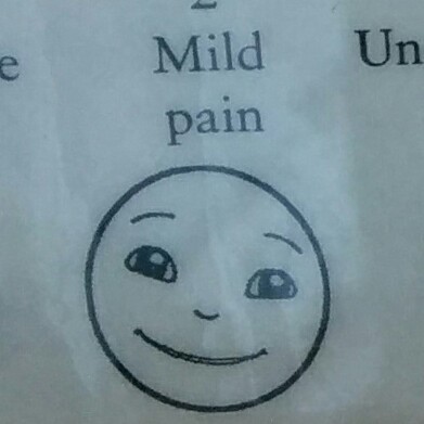 Archillect (@archillect) on Twitter photo 