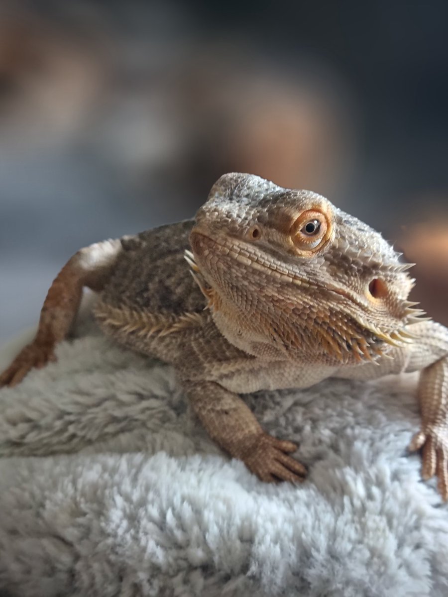 kylie Griffin (@kylielou20) on Twitter photo 