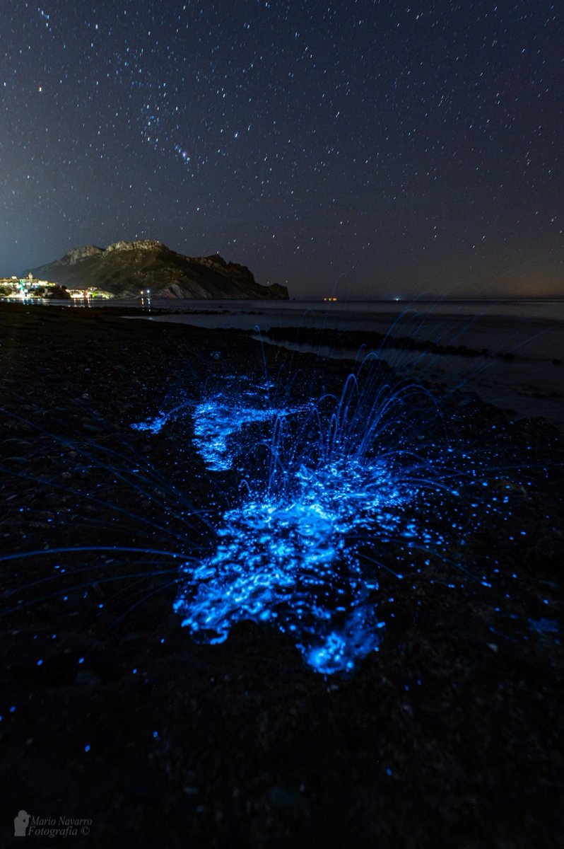 Mario17N's tweet photo. Con la oscuridad de la noche llega la magia a la costa de Águilas. Bioluminiscencia bajo las estrellas🤍19/11/23 https://t.co/urKOyJ57qM