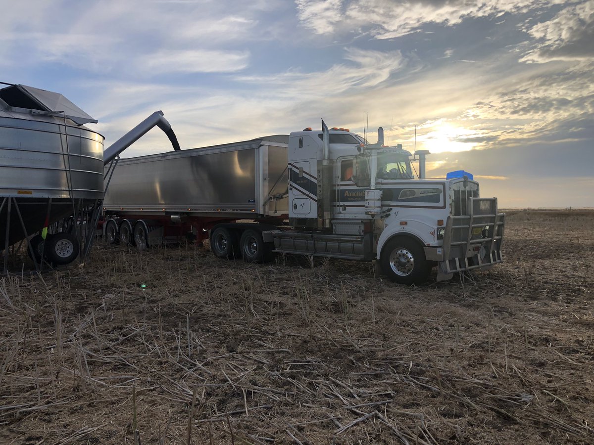 Adam Cook tweet media