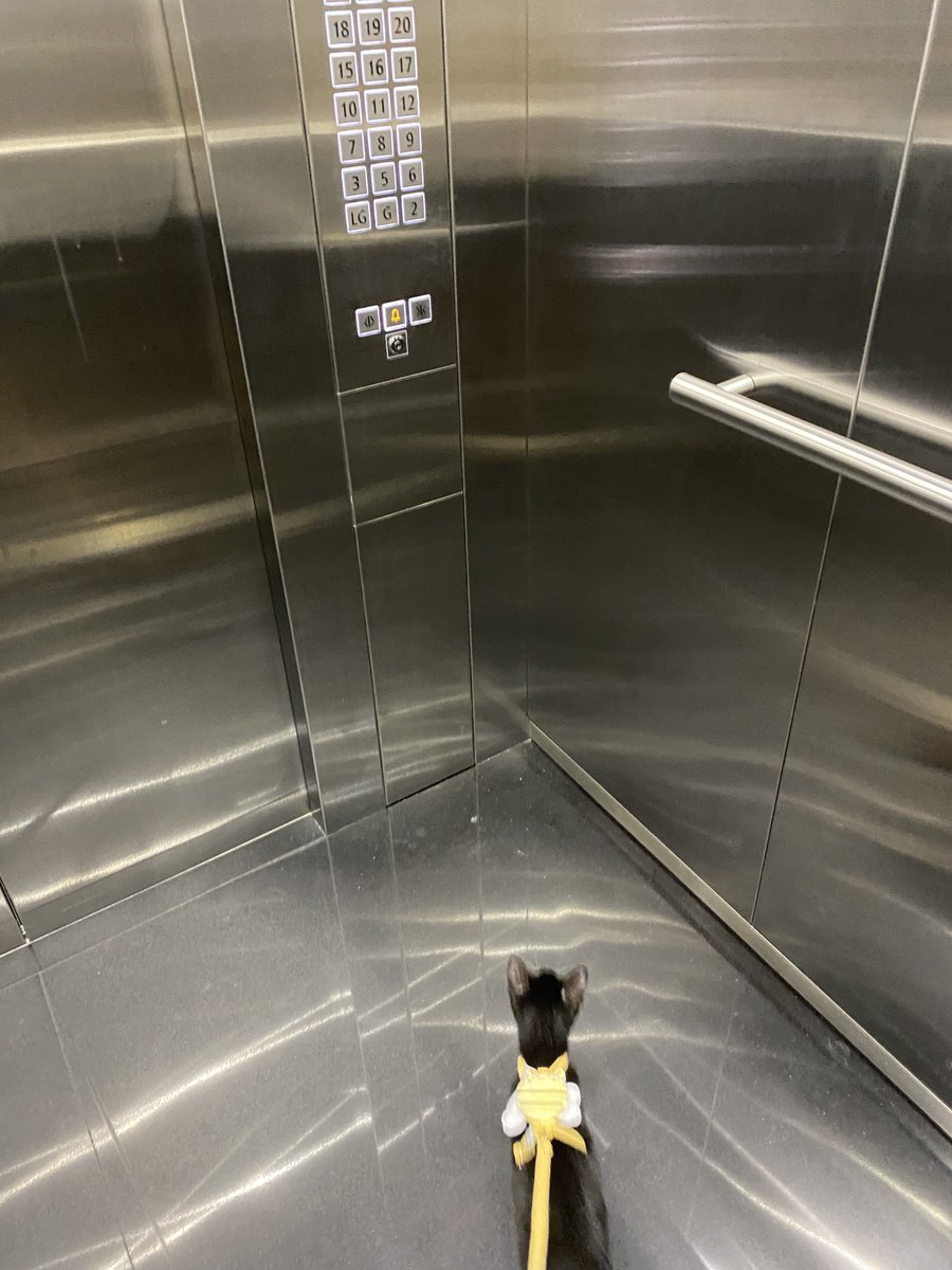 waffle🍪 tweet media