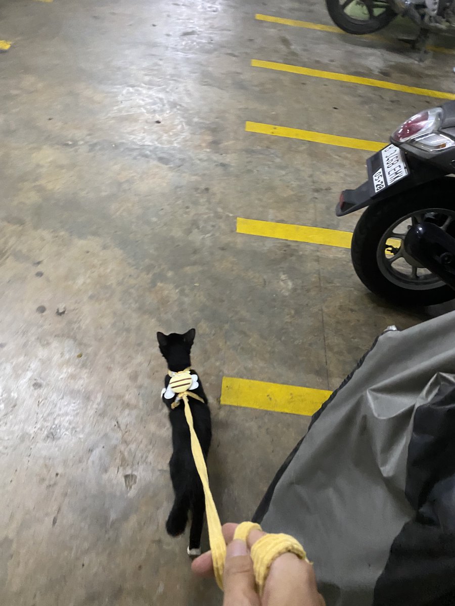 waffle🍪 tweet media