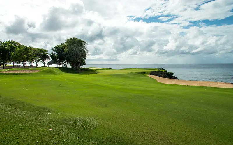 GolftoaTee's tweet photo. GTAT Caribbean 2024 Trip with Tim &amp; Carolyn
https://t.co/wmvFCNlNEB https://t.co/YIAiXpqBxa