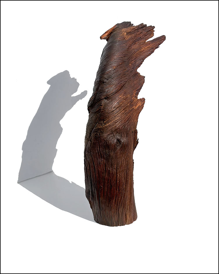 Sculptural piece of natural wood…new in to Booth J1 @StratfordAntiqueCenter. Heavy…Rosewood? #TwoGuysAndADog #OrganicModernism #NaturalWood #Sculpture #Sculptural #Maximalism #HomeDecor #InteriorDesign #SetDesign #Texture #OneOfAKind #GrainPattern #Abstract #OldGrowth