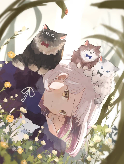 ねこの集会